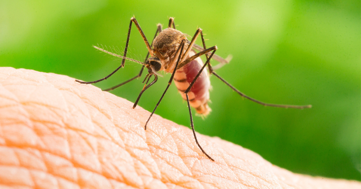 travel health vaccinations